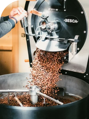 CafetoPro1